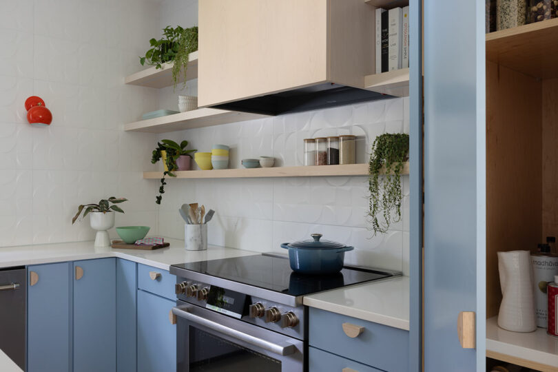 A modern kitchen with blue cabinets, white countertops, and open wooden shelves holding plants and dishes. A stove with a blue pot is centered under a range hood.