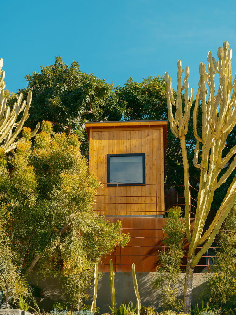 A small wooden cabin with a single window nestled among tall cacti and lush greenery under a clear blue sky.