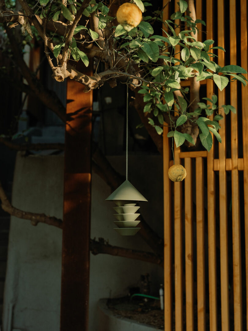 A green garden lantern hangs from a tree branch with leaves and two yellow fruits. A wooden lattice is in the background.