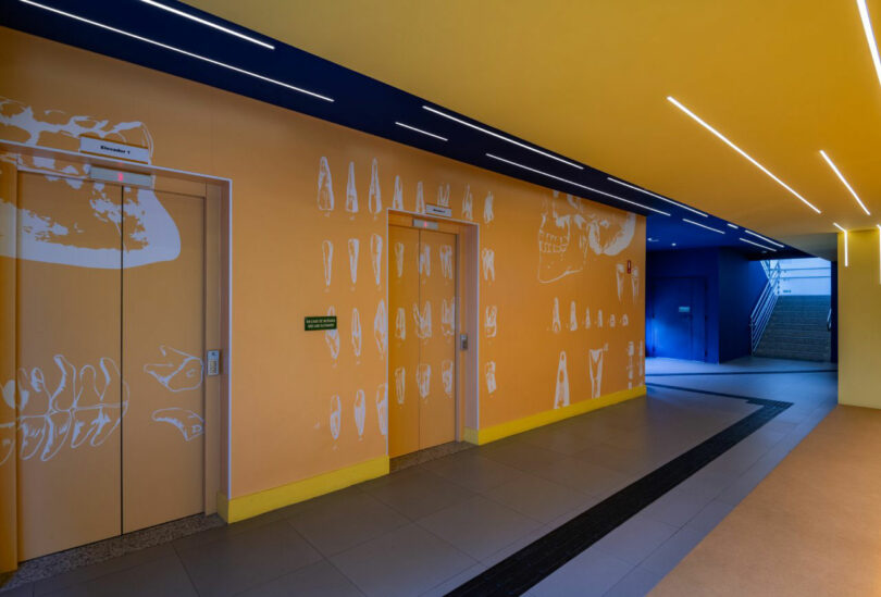 A brightly lit hallway with yellow and orange walls featuring artistic designs by Estúdio Protobox, two elevators with abstract patterns, and modern ceiling lighting. Stairs are visible at the end of the hall.