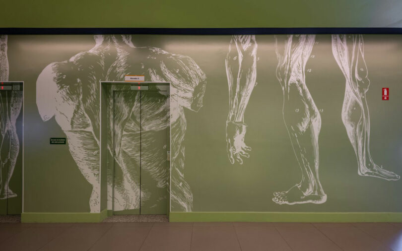 A green wall with anatomical muscle illustrations, featuring two doors. One door has a "Restroom" sign, and a small sign next to it reads, "Emergency Use Only." An emergency fire alarm is on the right. This space is part of Estúdio Protobox's innovative design. 