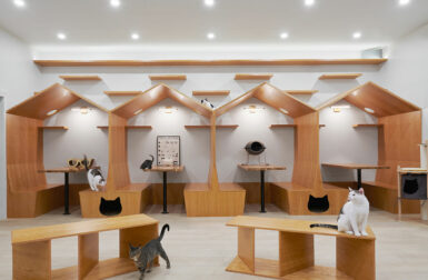 Whiskers + Whimsy: A Visit to the New Meow Parlour, NYC's First Cat Cafe