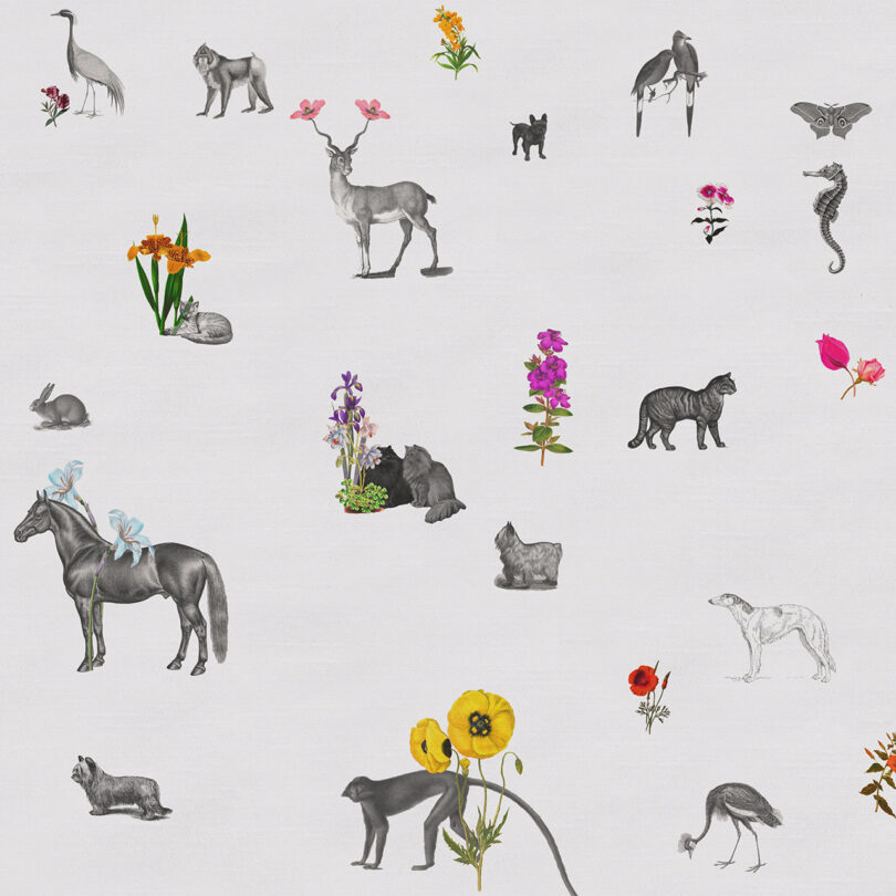 Illustration of various animals and flowers on a white background, including a horse with bows, a deer with flowers, birds, and more.