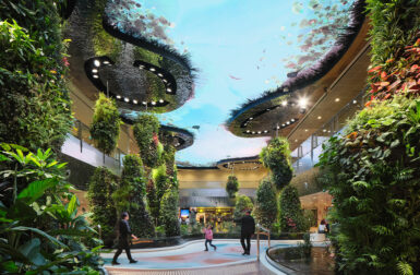 Reimagining the Travel Experience With Biophilia in Singapore's Changi Airport