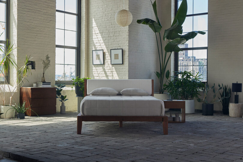 Minimalist bedroom with a wooden platform bed, large windows, and potted plants, in a bright industrial-style room.